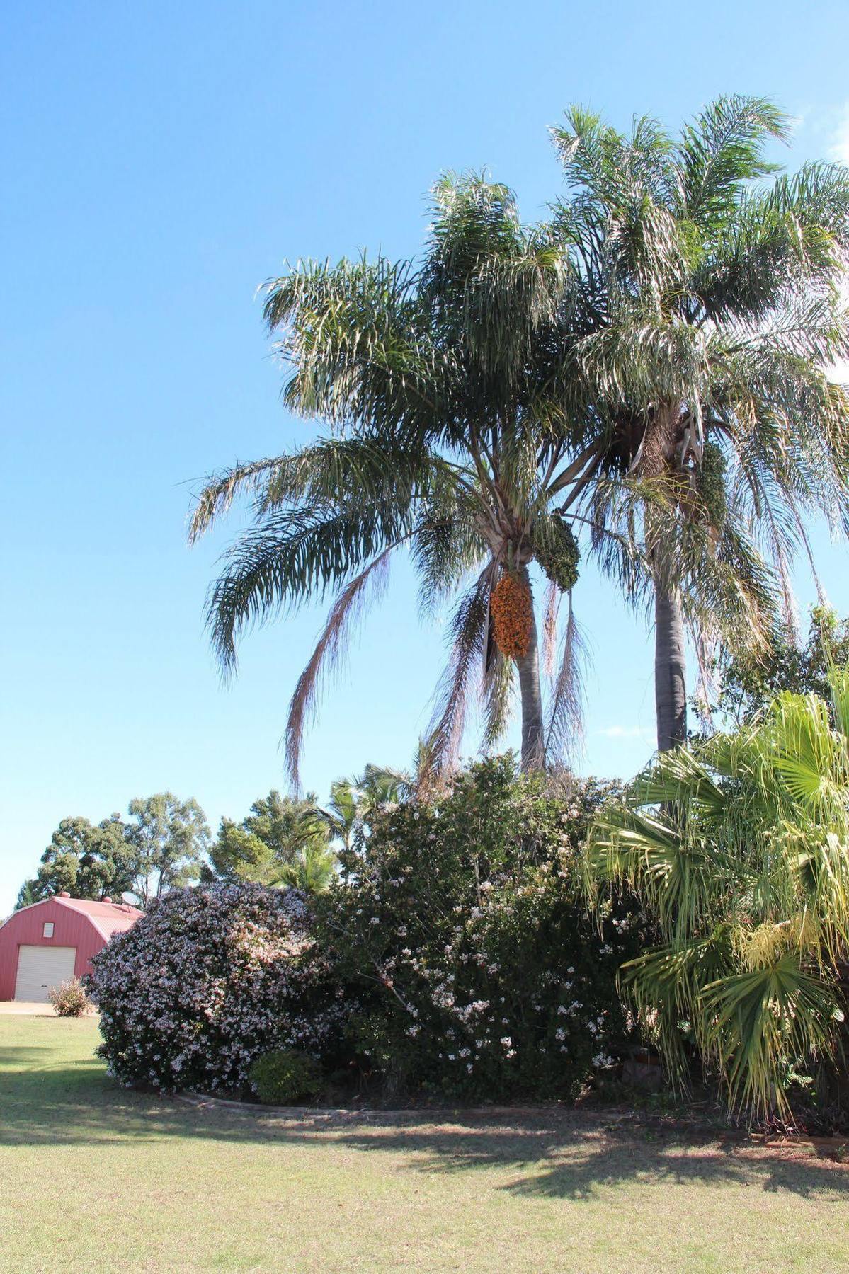 Motel Childers Gateway Motor Inn 3*